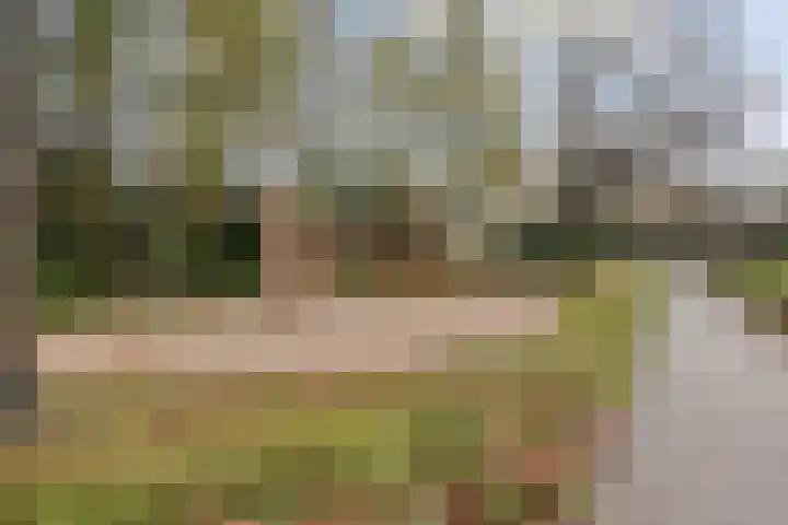 Willem de Nobelaerlaan 24 Voorburg thumbnail 23