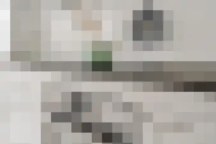 Willem de Nobelaerlaan 24 Voorburg thumbnail 7