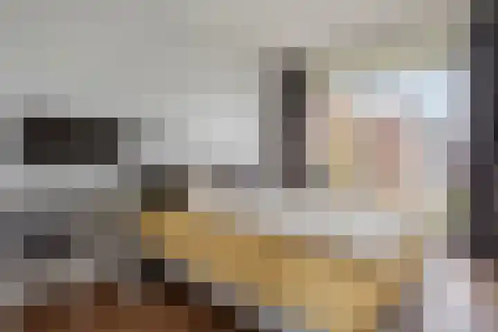 Willem de Nobelaerlaan 24 Voorburg thumbnail 8