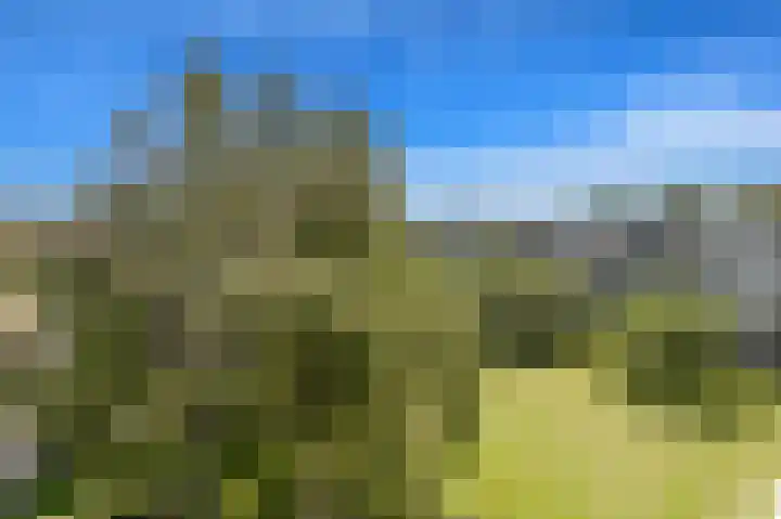 Willem de Nobelaerlaan 52 Voorburg thumbnail 18