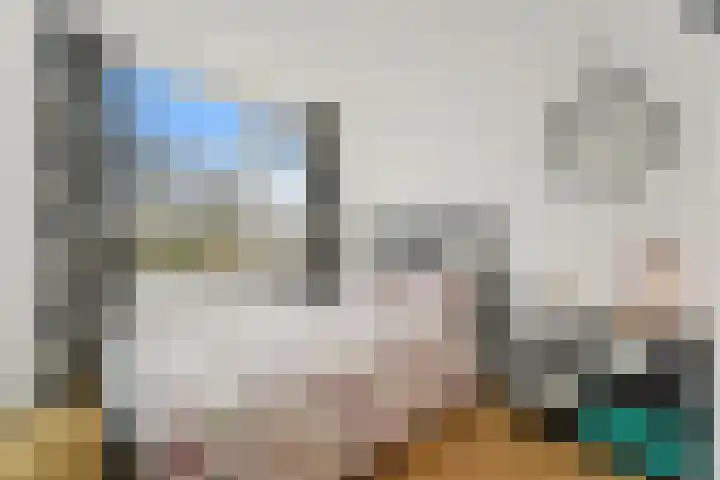 Willem de Nobelaerlaan 70 Voorburg thumbnail 16