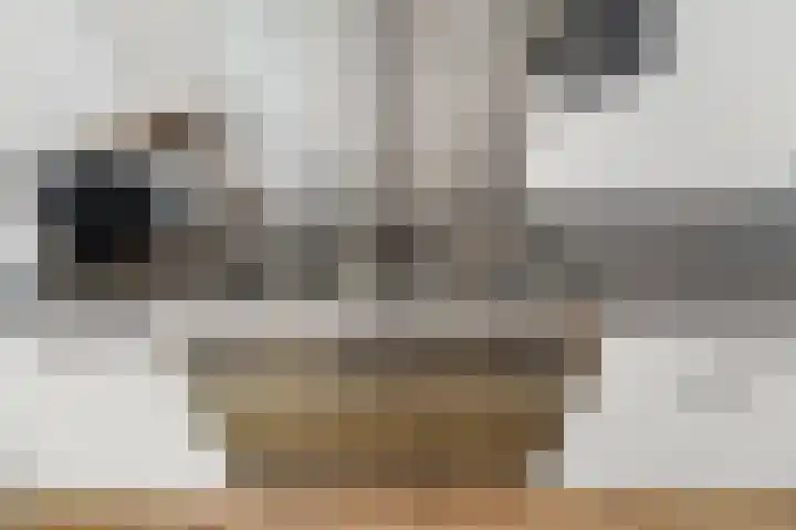 Willem de Nobelaerlaan 70 Voorburg thumbnail 7