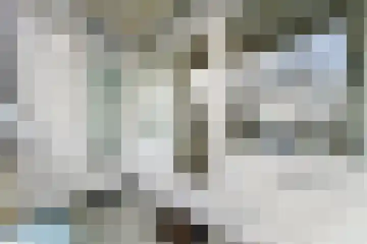 Willem de Nobelaerlaan 70 Voorburg thumbnail 9