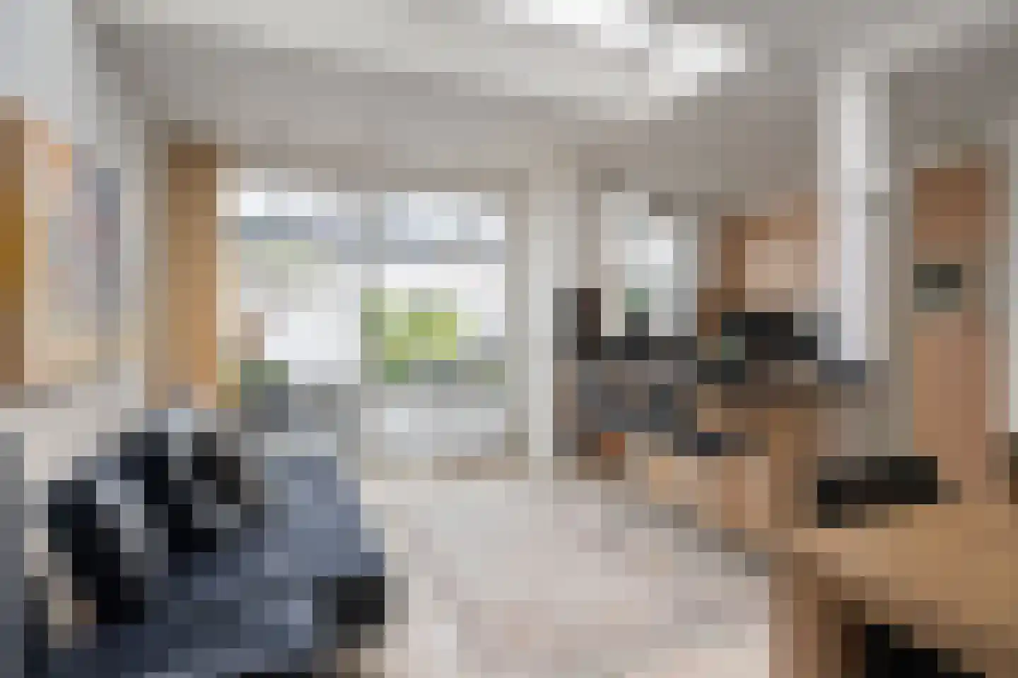 Willem de Rijkelaan 10 Eindhoven thumbnail 11