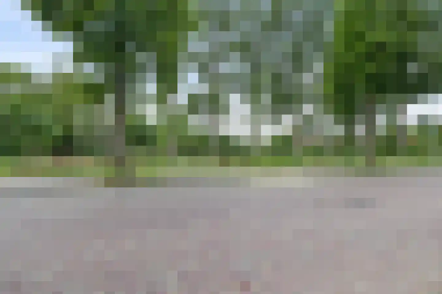 Willem de Rijkelaan 10 Eindhoven thumbnail 29