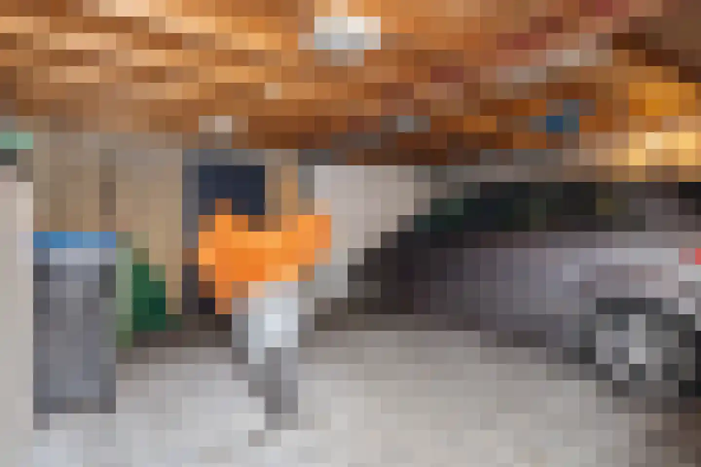 Willem de Rijkelaan 10 Eindhoven thumbnail 30