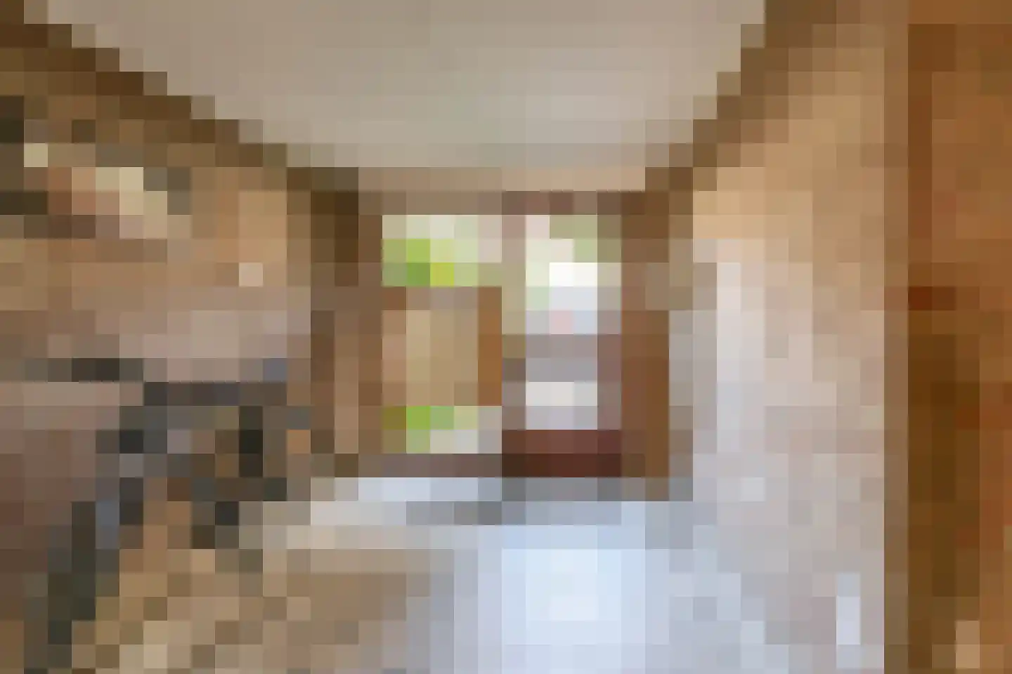 Willem de Rijkelaan 106 Waddinxveen thumbnail 11