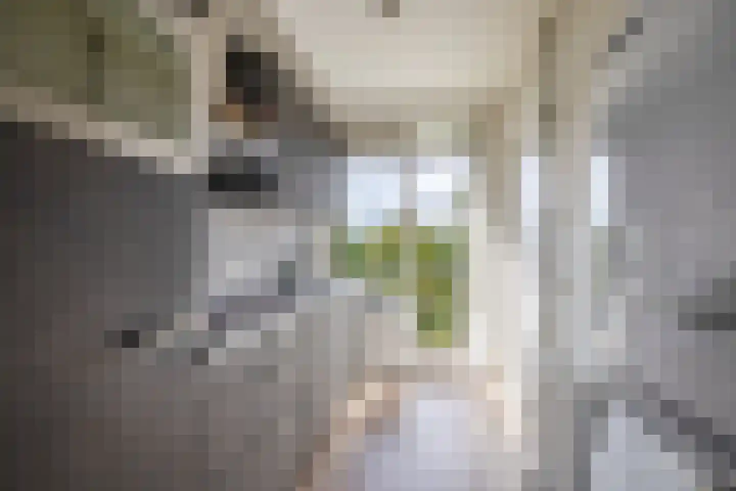 Willem de Rijkelaan 106 Waddinxveen thumbnail 4