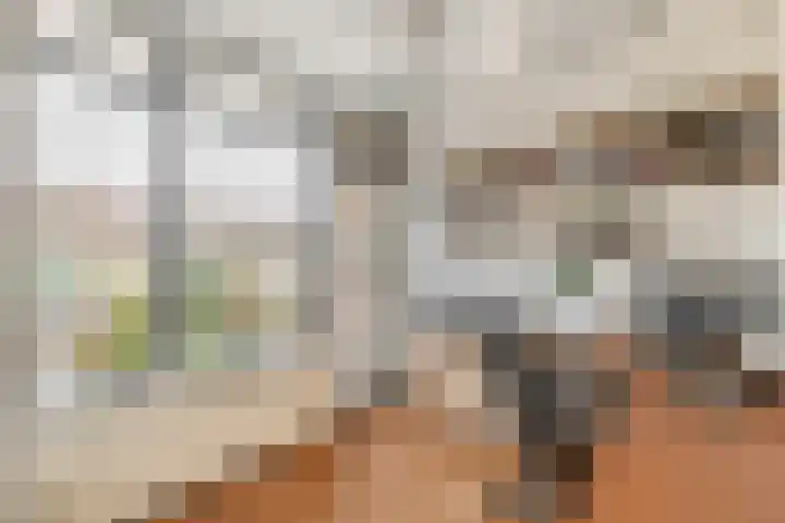 Willem de Rijkelaan 108 Waddinxveen thumbnail 14