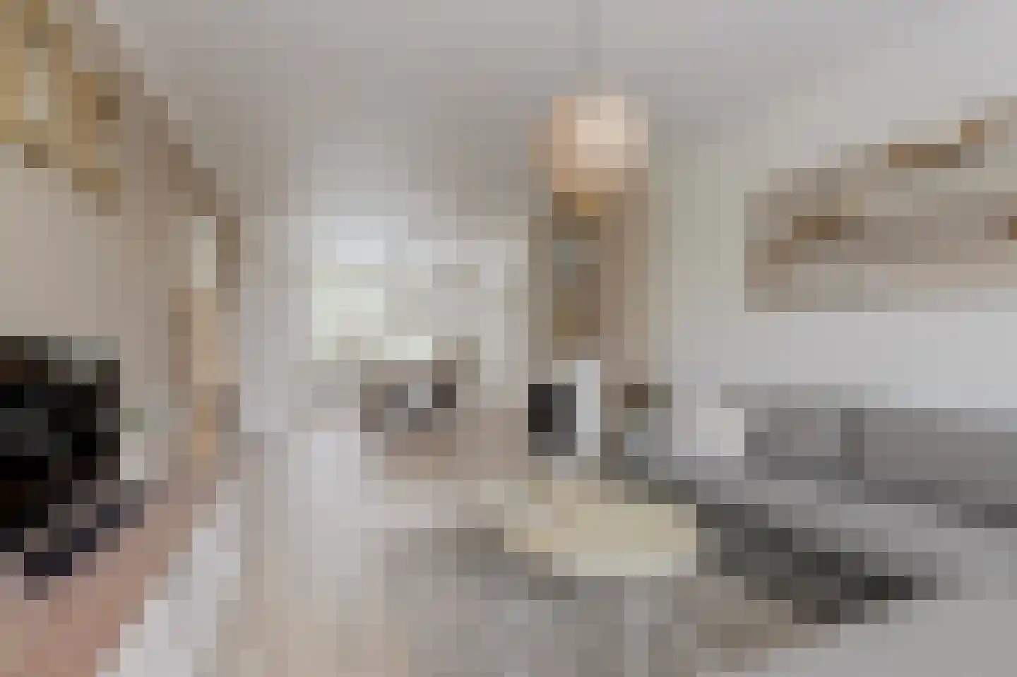 Willem de Rijkelaan 12 Waddinxveen thumbnail 10