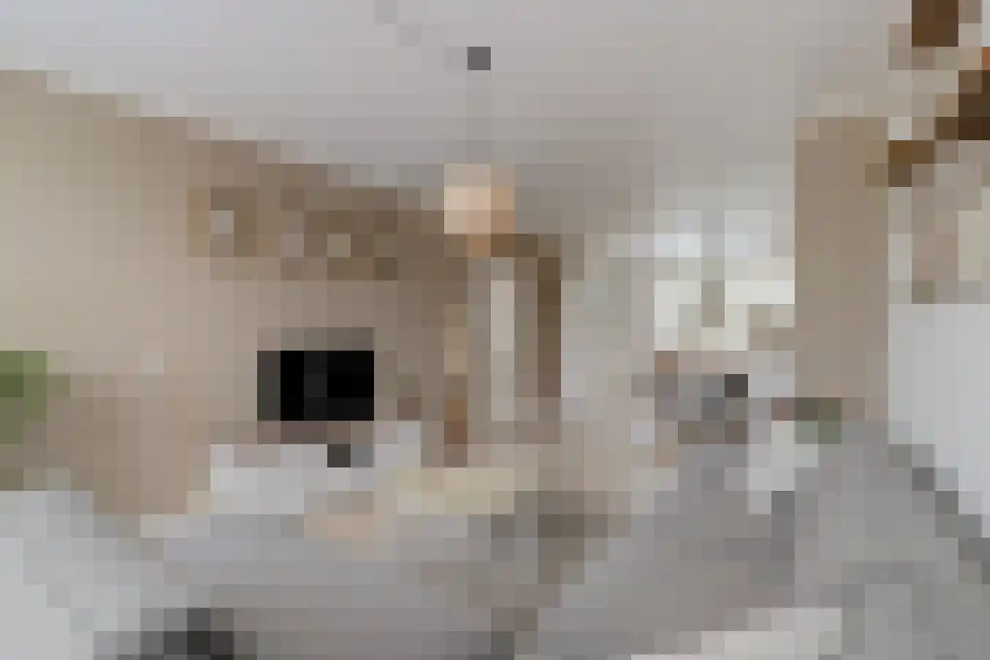 Willem de Rijkelaan 12 Waddinxveen thumbnail 11