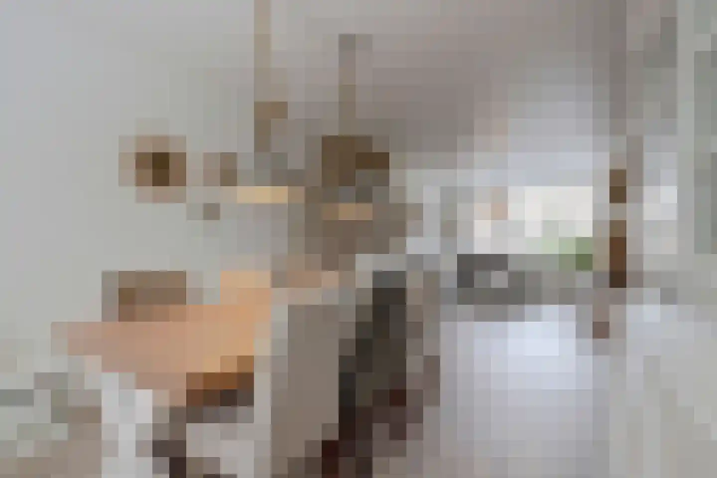 Willem de Rijkelaan 12 Waddinxveen thumbnail 12