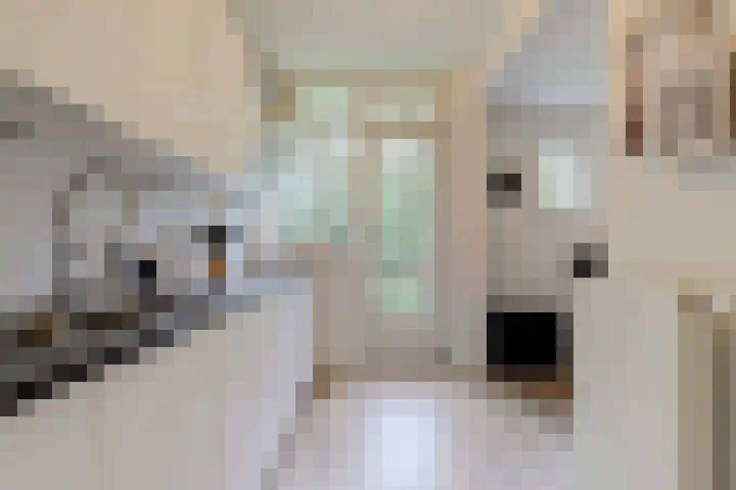 Willem de Rijkelaan 12 Waddinxveen thumbnail 13