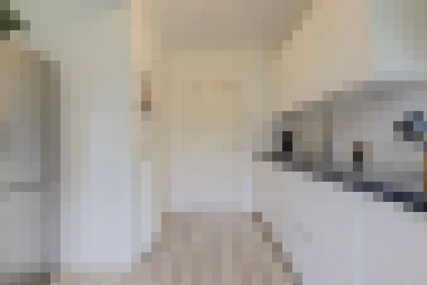 Willem de Rijkelaan 12 Waddinxveen thumbnail 15