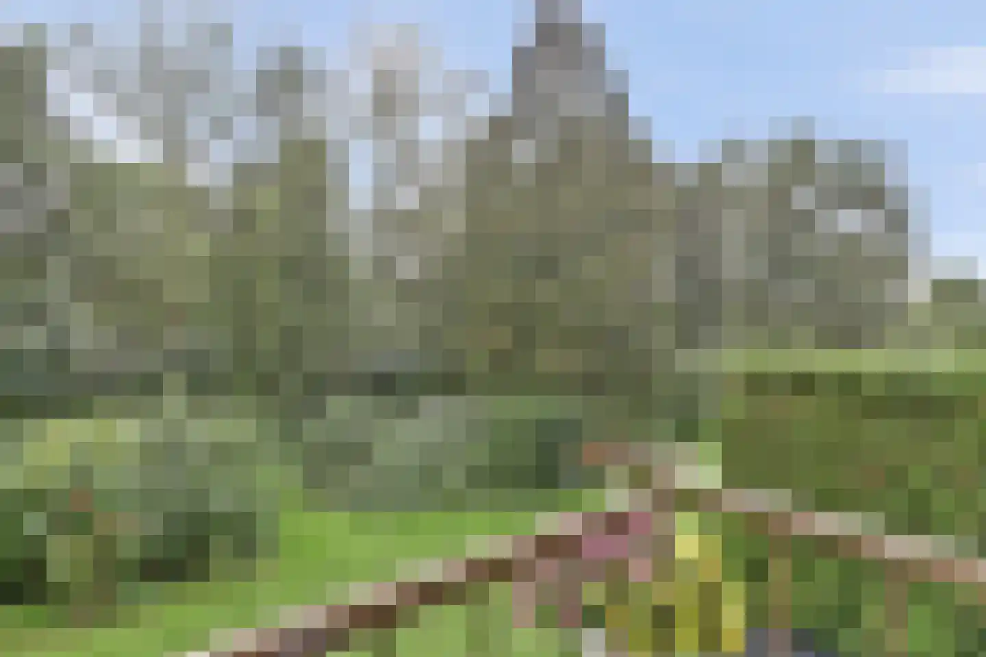 Willem de Rijkelaan 12 Waddinxveen thumbnail 17