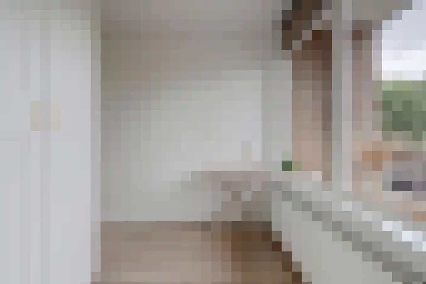 Willem de Rijkelaan 12 Waddinxveen thumbnail 19