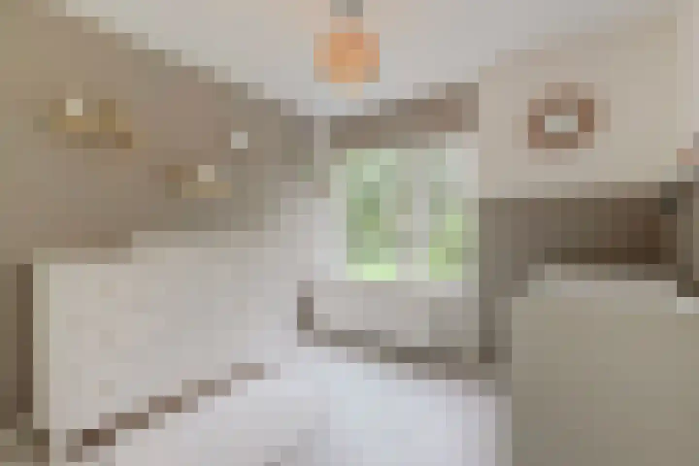 Willem de Rijkelaan 12 Waddinxveen thumbnail 28