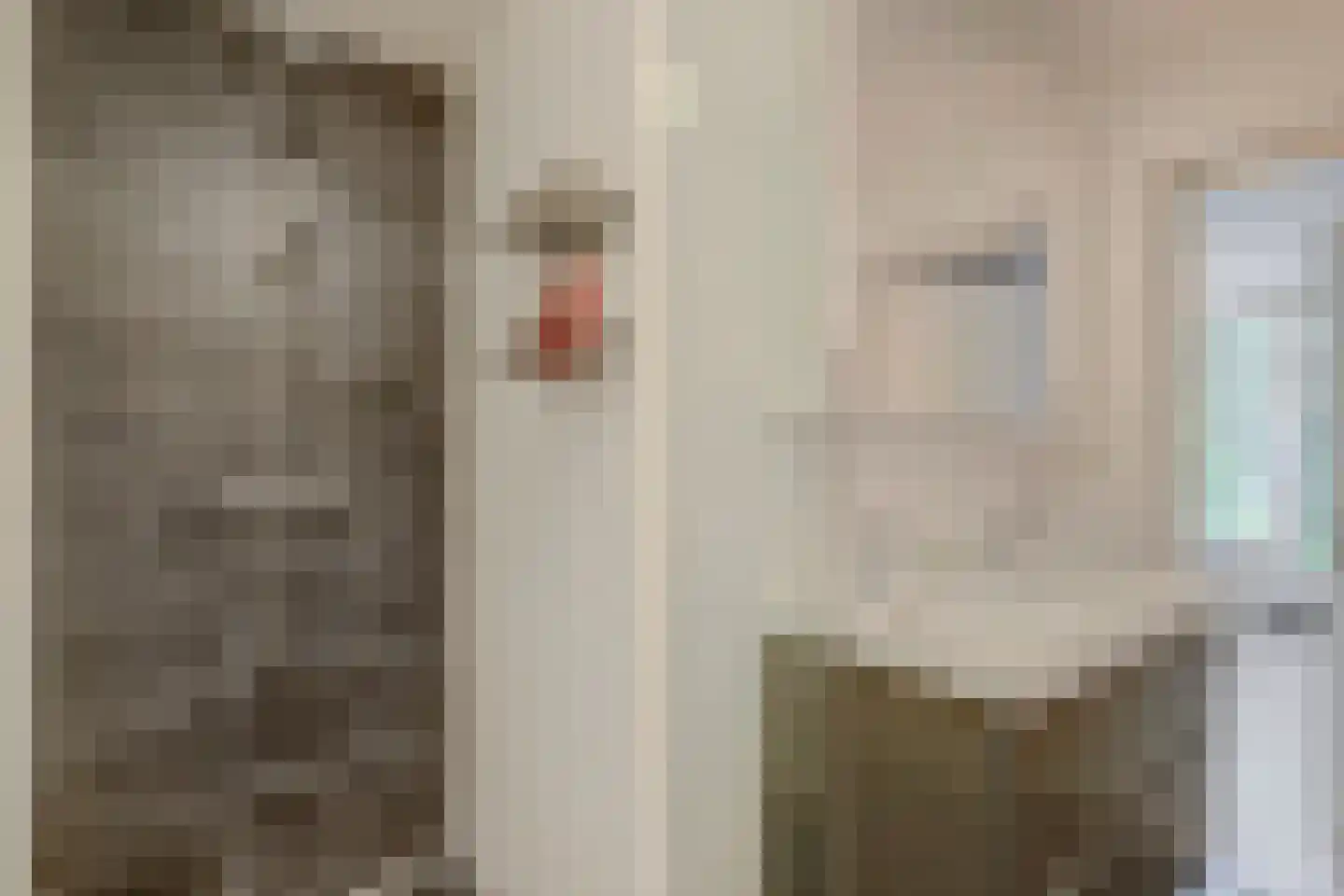 Willem de Rijkelaan 12 Waddinxveen thumbnail 32