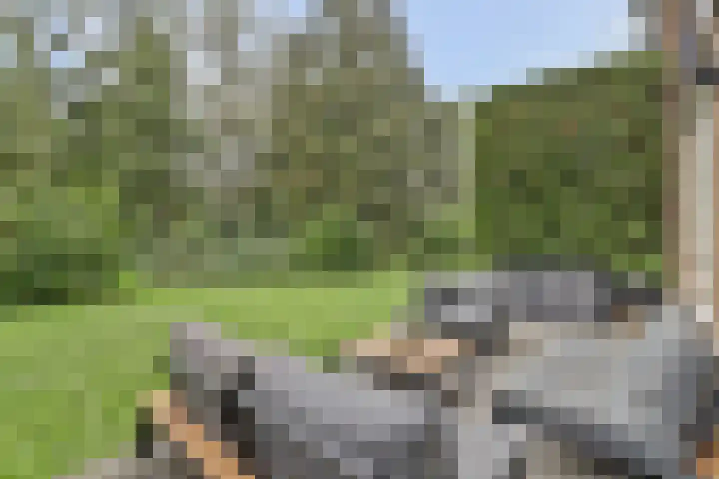 Willem de Rijkelaan 12 Waddinxveen thumbnail 36