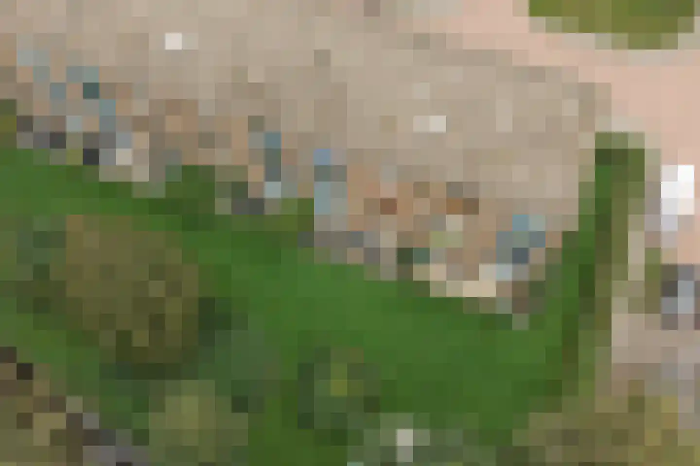 Willem de Rijkelaan 12 Waddinxveen thumbnail 46