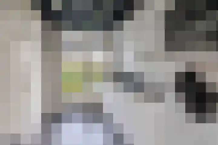 Willem de Rijkelaan 126 Waddinxveen thumbnail 10