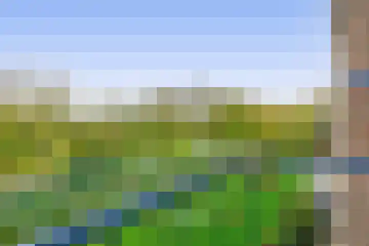 Willem de Rijkelaan 126 Waddinxveen thumbnail 14