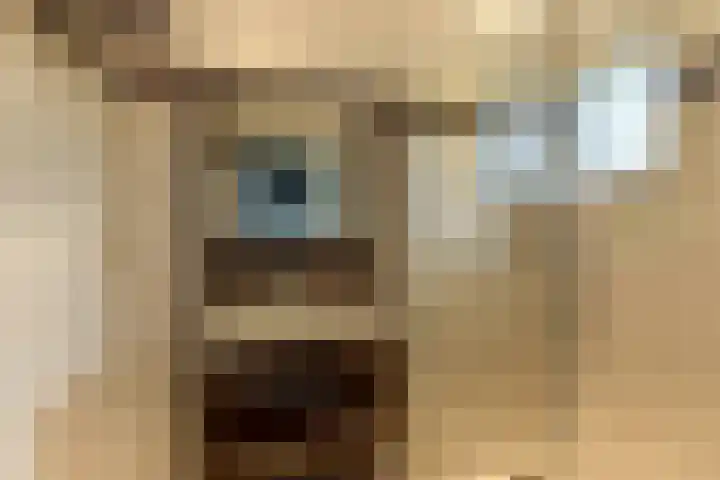 Willem de Rijkelaan 126 Waddinxveen thumbnail 15