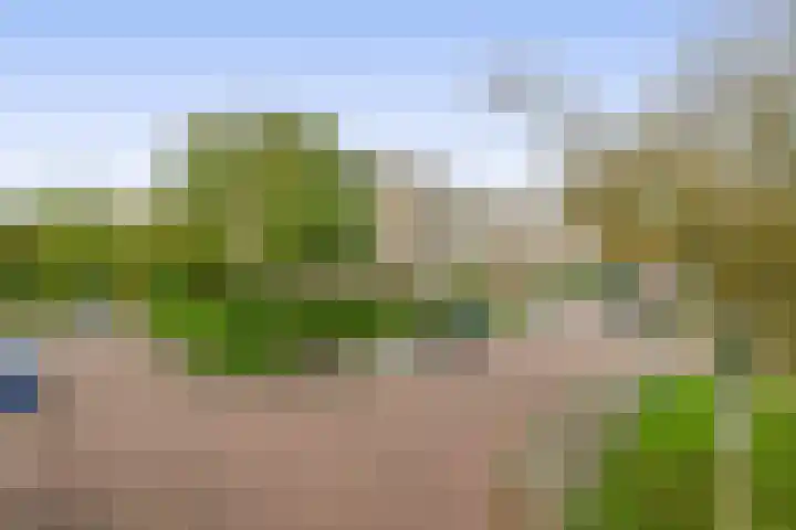 Willem de Rijkelaan 126 Waddinxveen thumbnail 30