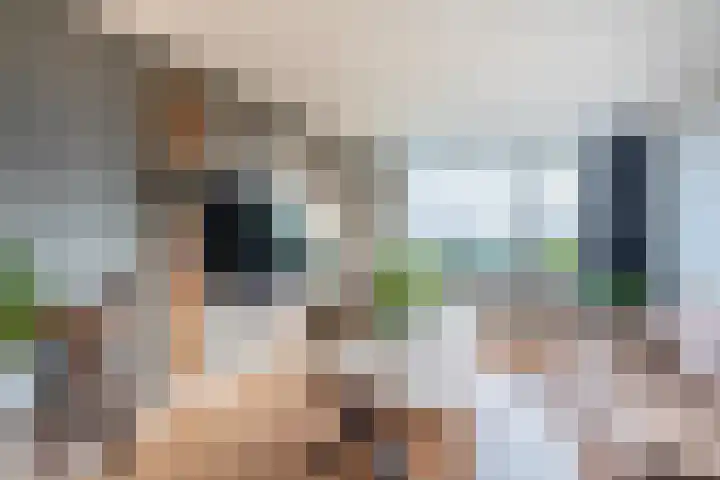 Willem de Rijkelaan 126 Waddinxveen thumbnail 4