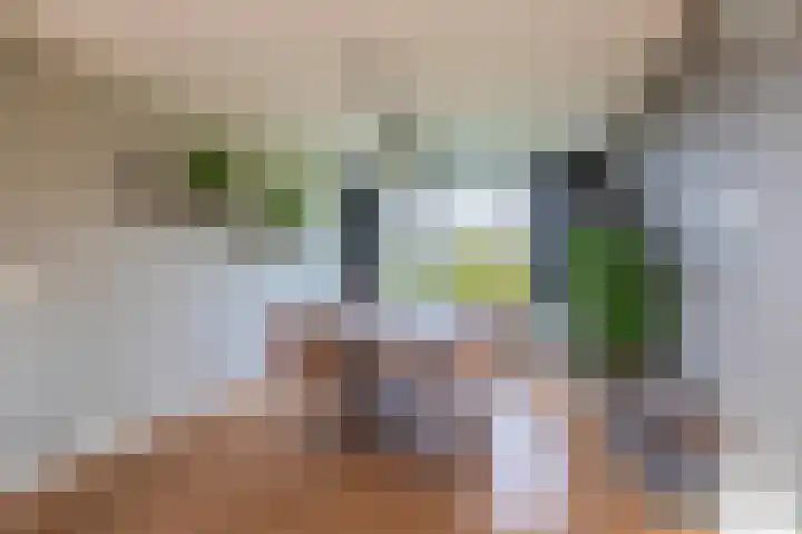 Willem de Rijkelaan 126 Waddinxveen thumbnail 6