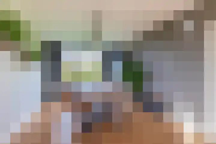 Willem de Rijkelaan 126 Waddinxveen thumbnail 7