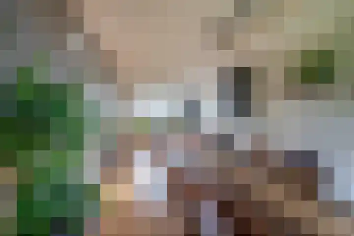 Willem de Rijkelaan 126 Waddinxveen thumbnail 9