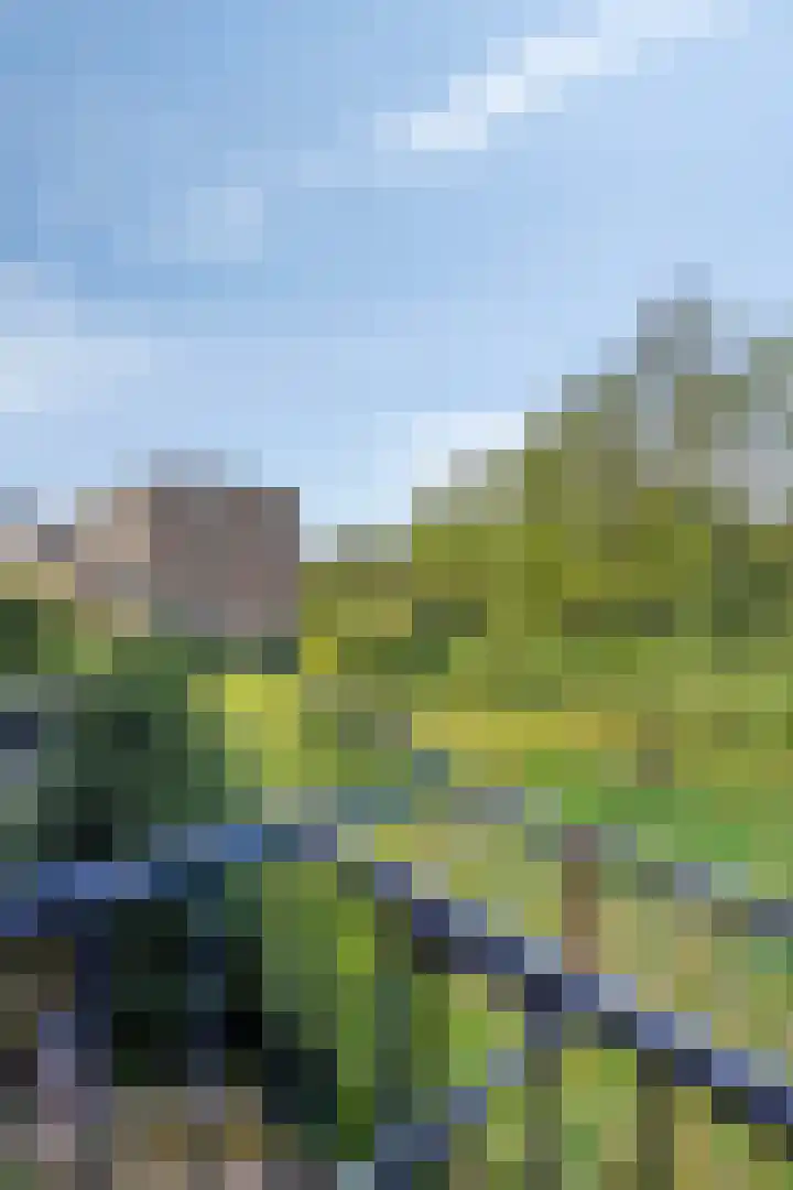Willem de Rijkelaan 134 Waddinxveen thumbnail 23