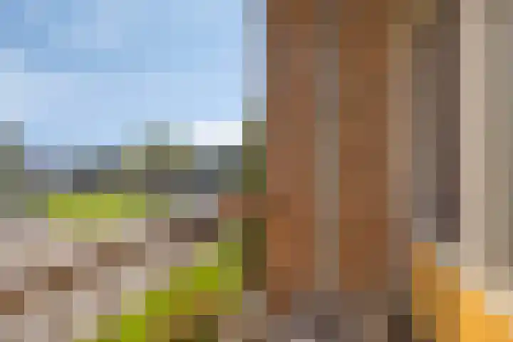 Willem de Rijkelaan 134 Waddinxveen thumbnail 30
