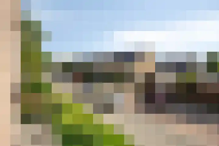 Willem de Rijkelaan 134 Waddinxveen thumbnail 32