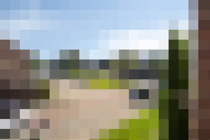 Willem de Rijkelaan 134 Waddinxveen thumbnail 33