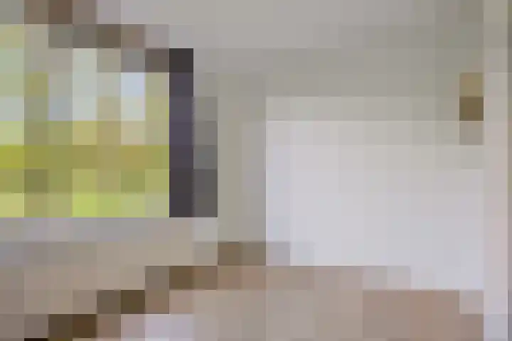 Willem de Rijkelaan 134 Waddinxveen thumbnail 36