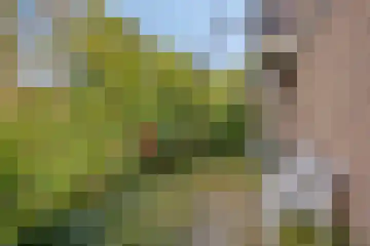 Willem de Rijkelaan 134 Waddinxveen thumbnail 38