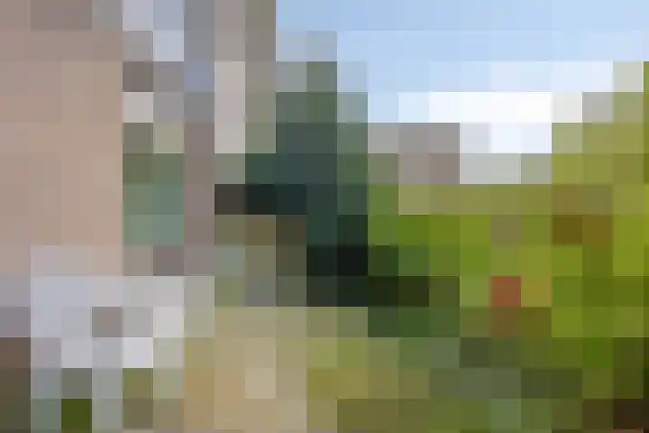 Willem de Rijkelaan 134 Waddinxveen thumbnail 39