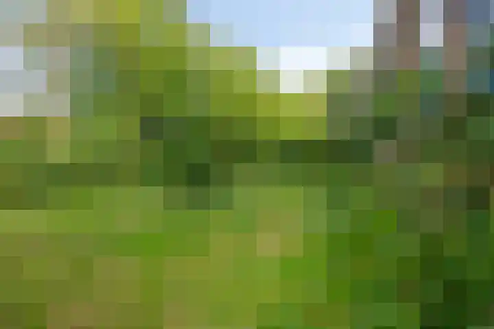 Willem de Rijkelaan 134 Waddinxveen thumbnail 40