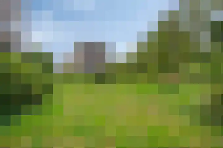 Willem de Rijkelaan 134 Waddinxveen thumbnail 41