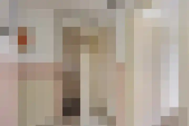 Willem de Rijkelaan 134 Waddinxveen thumbnail 8