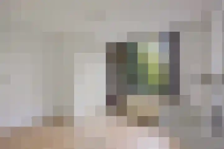 Willem de Rijkelaan 134 Waddinxveen thumbnail 9