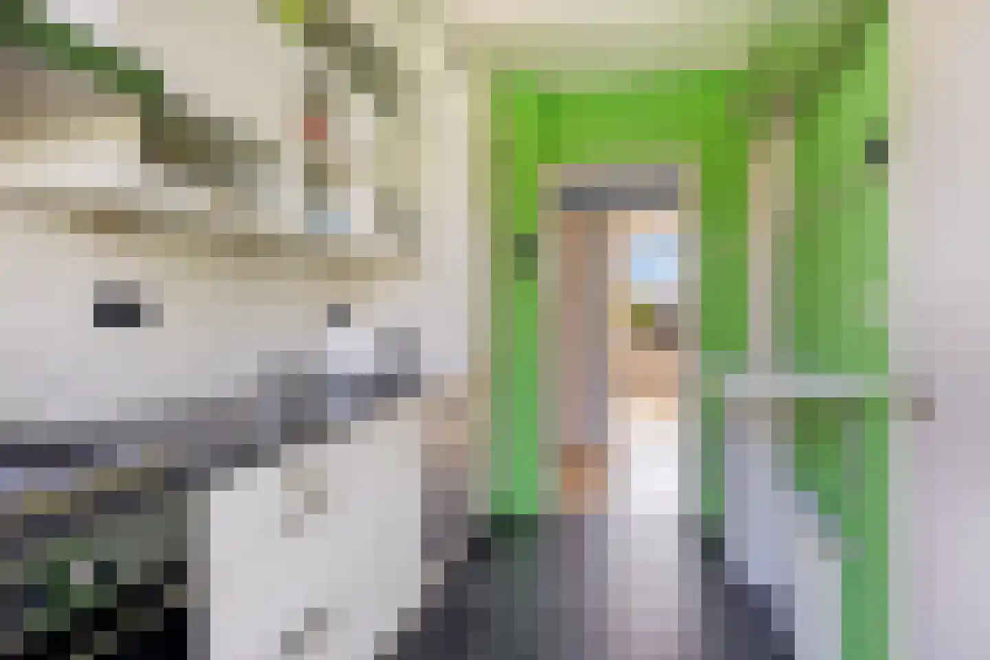 Willem de Rijkelaan 138 Waddinxveen thumbnail 17