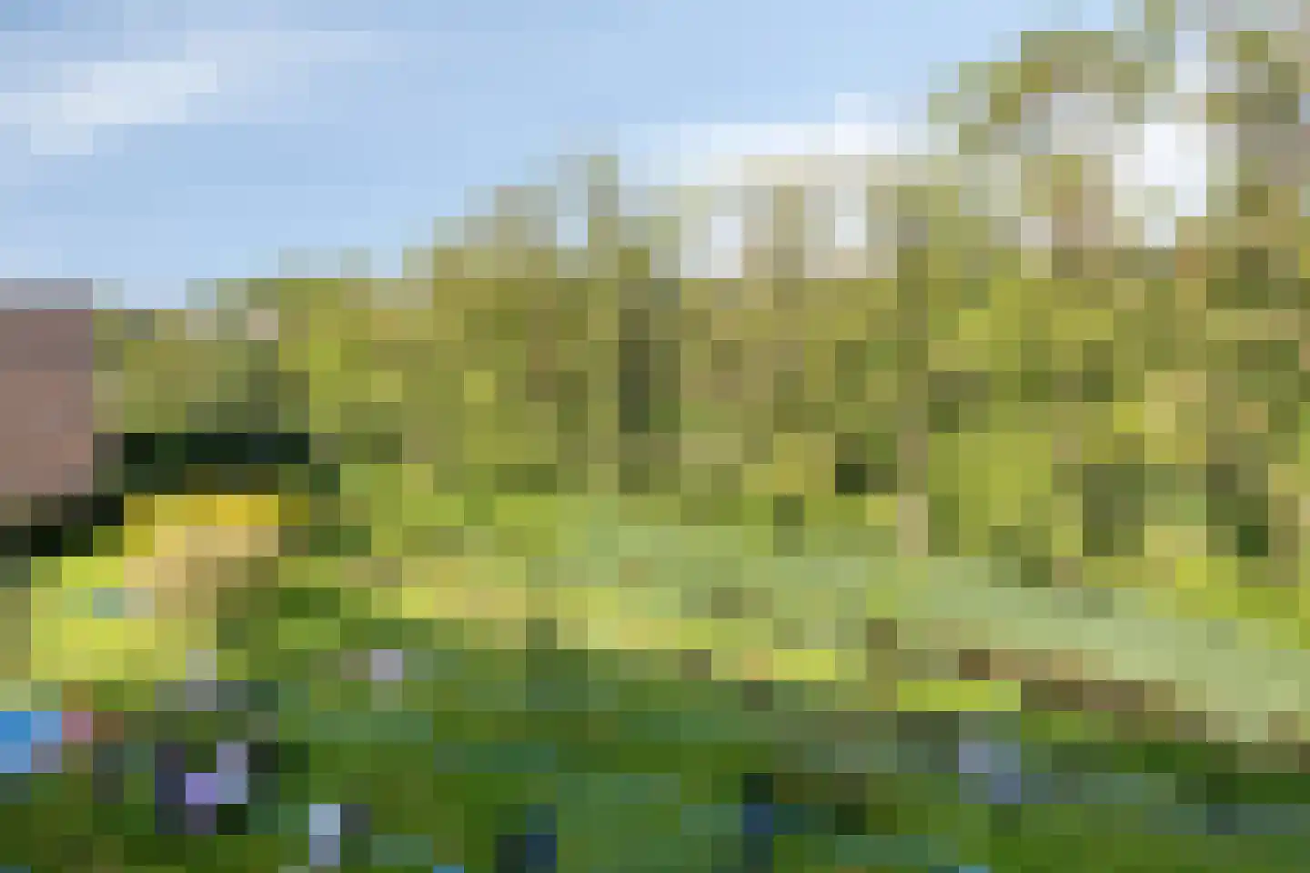 Willem de Rijkelaan 138 Waddinxveen thumbnail 19