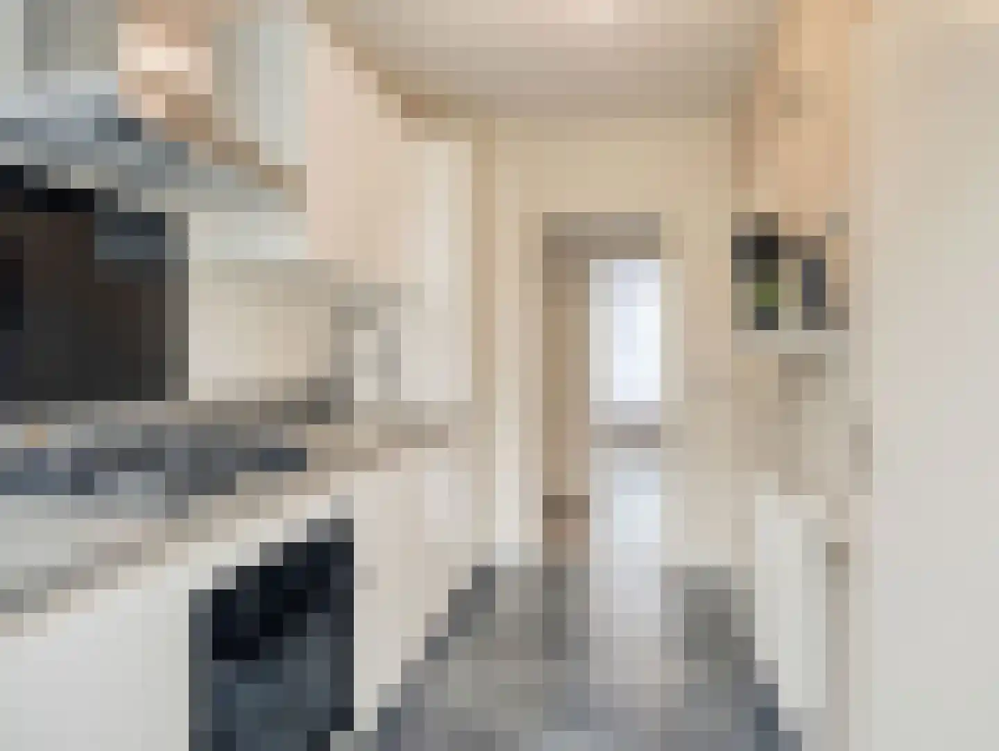 Willem de Rijkelaan 148 Waddinxveen thumbnail 18