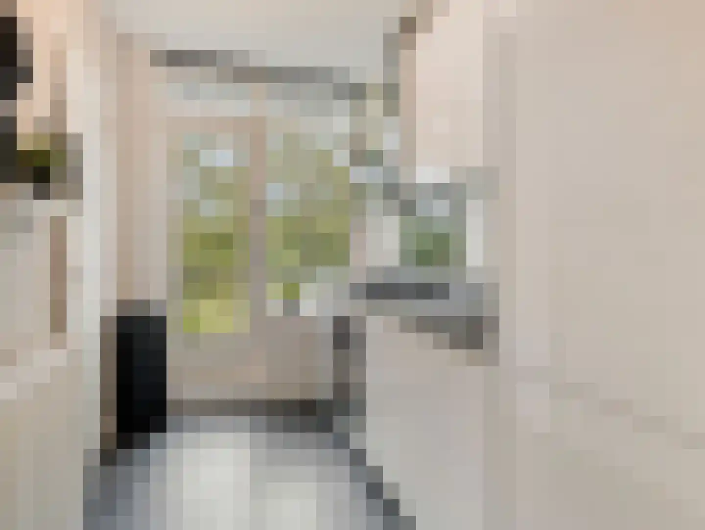 Willem de Rijkelaan 148 Waddinxveen thumbnail 20
