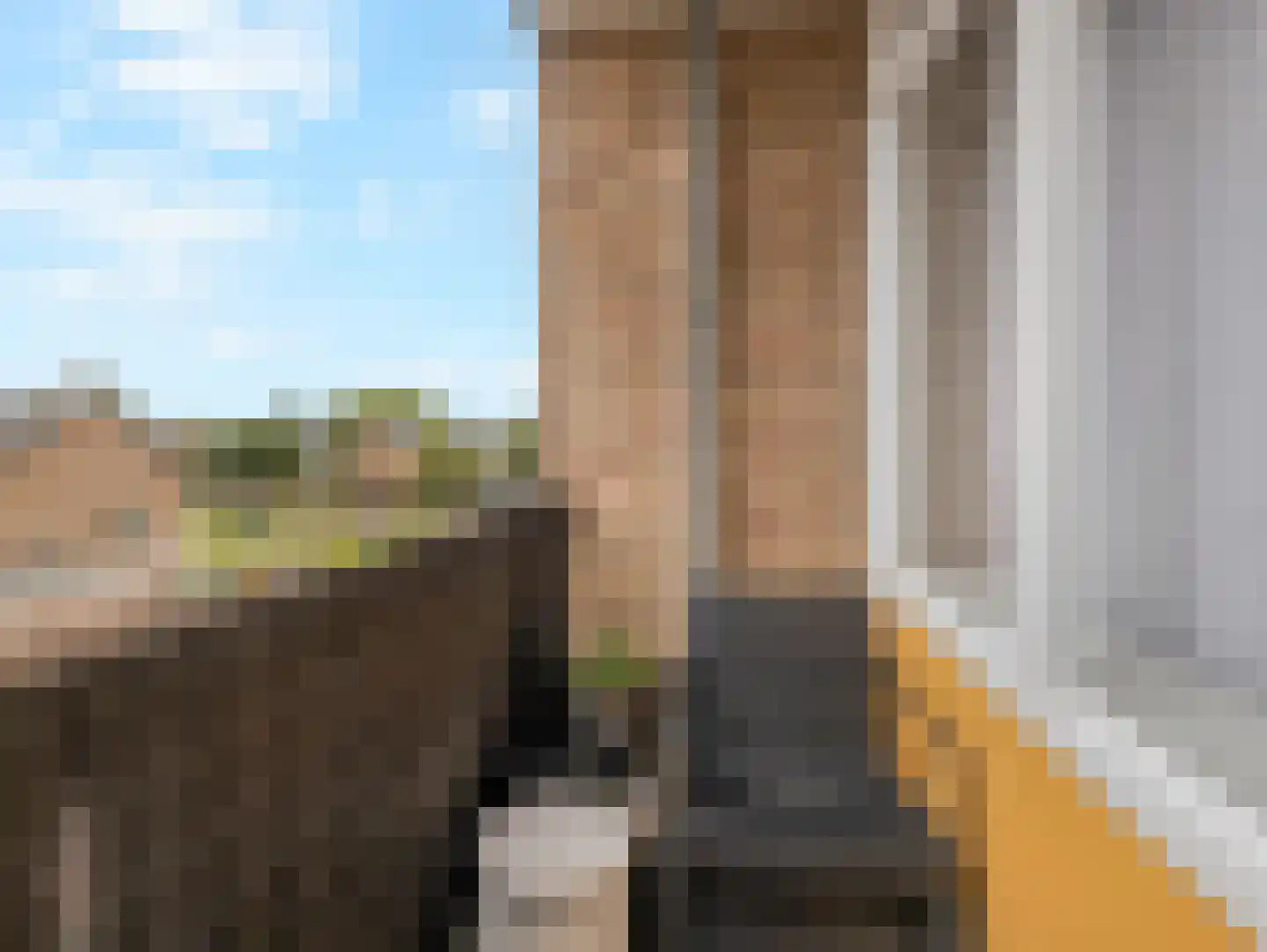 Willem de Rijkelaan 148 Waddinxveen thumbnail 27