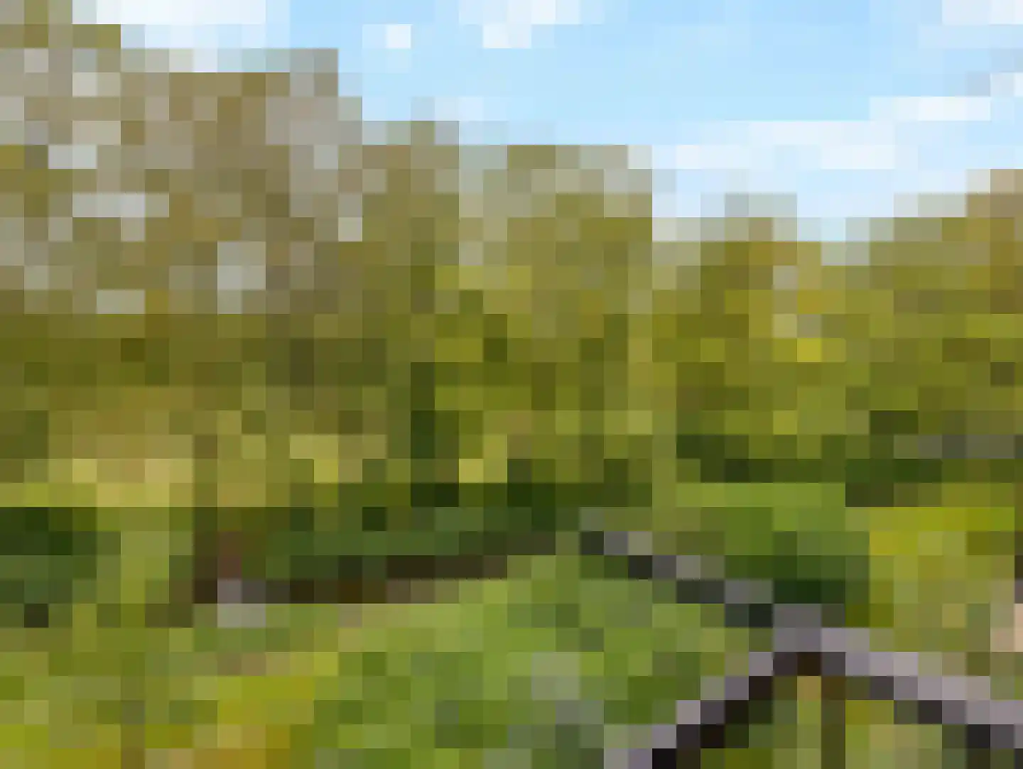 Willem de Rijkelaan 148 Waddinxveen thumbnail 31