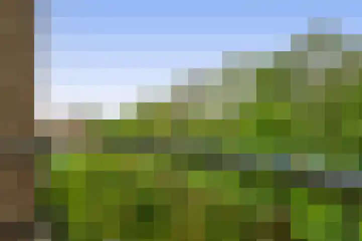 Willem de Rijkelaan 152 Waddinxveen thumbnail 11